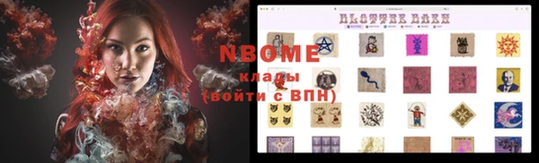 шишки Верея