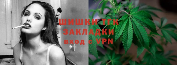 шишки Верея