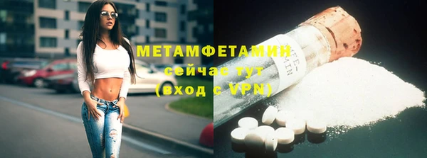 шишки Верея