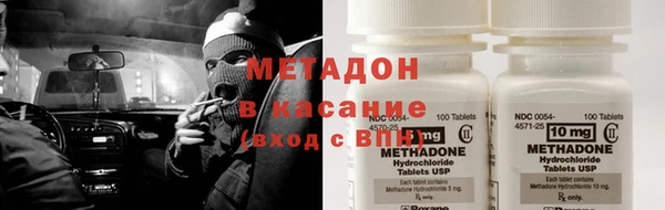 шишки Верея