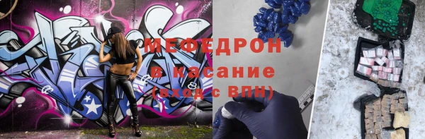 шишки Верея