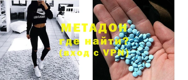 шишки Верея