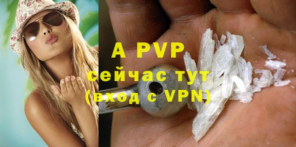 шишки Верея