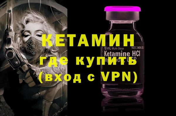 шишки Верея
