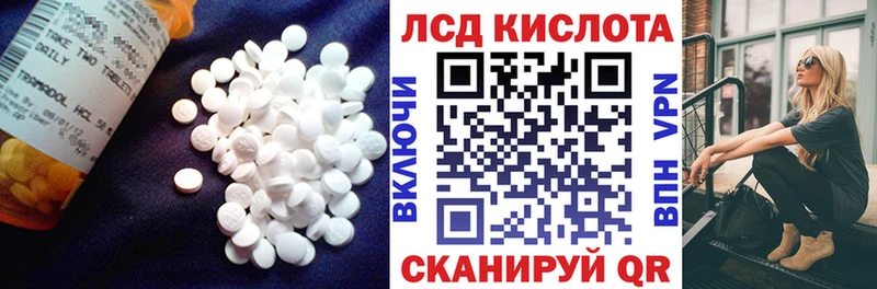 где купить   Кочубеевское  mega ТОР  LSD-25 экстази ecstasy 