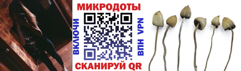 Псилоцибиновые грибы Cubensis Кочубеевское