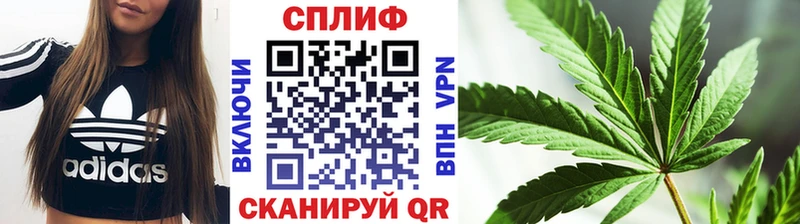 Марихуана SATIVA & INDICA  Кочубеевское 